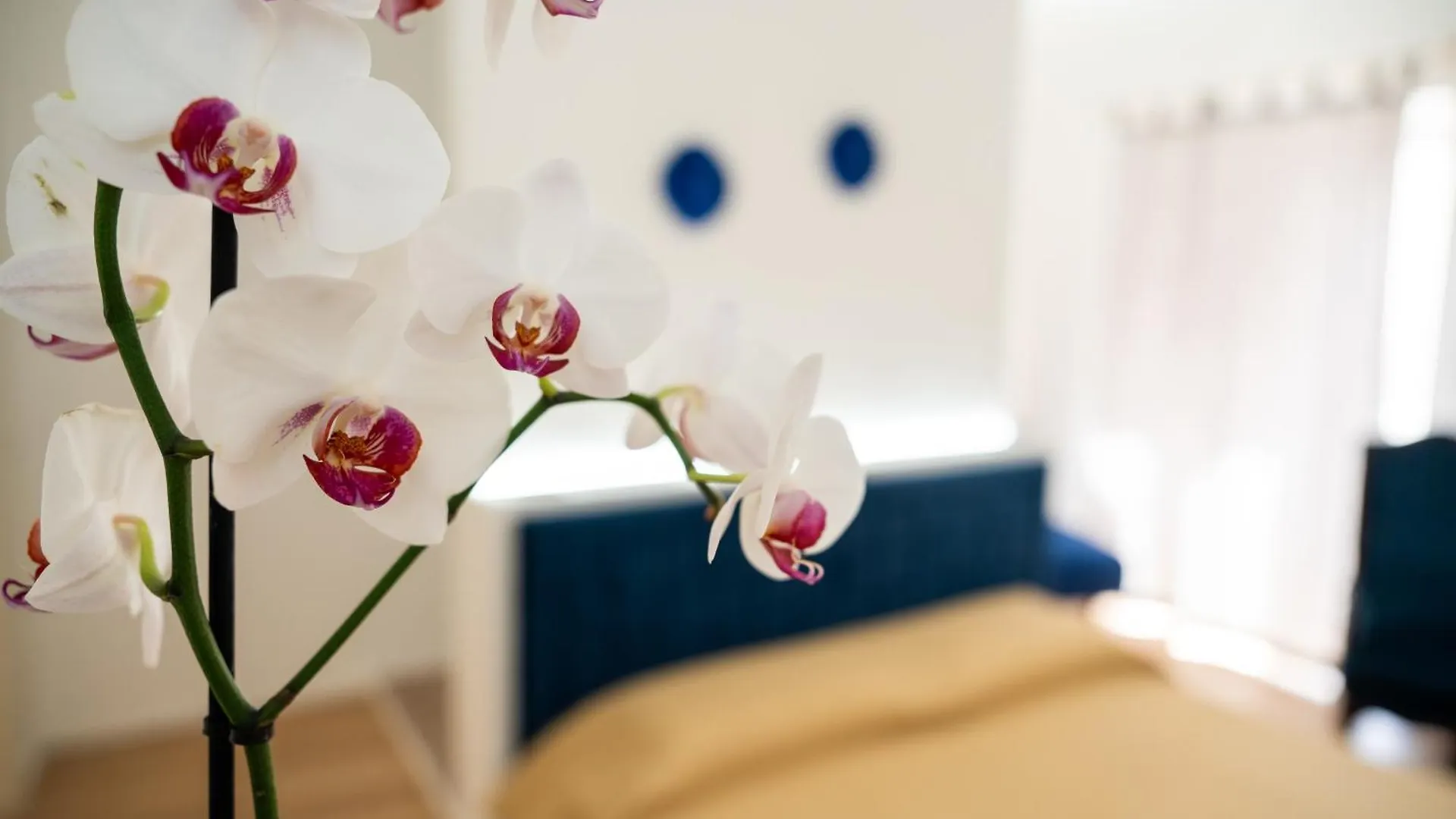 Appartement Casa Degli Aragonesi à Palerme Italie