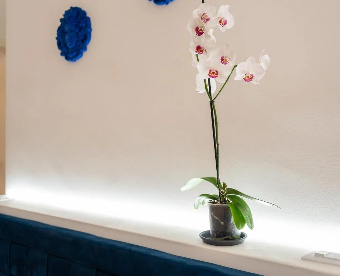 Appartement Casa Degli Aragonesi à Palerme